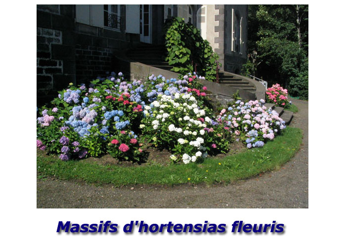 Massifs fleuris